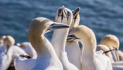 华体会官网：开启体育体验新纪元的官方平台